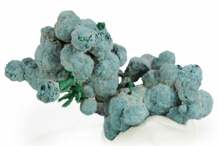 Fibrous Malachite on Blue Botryoidal Shattuckite - Namibia #363777